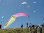 The wind is alittle strong, all gliders are heading in the same direction