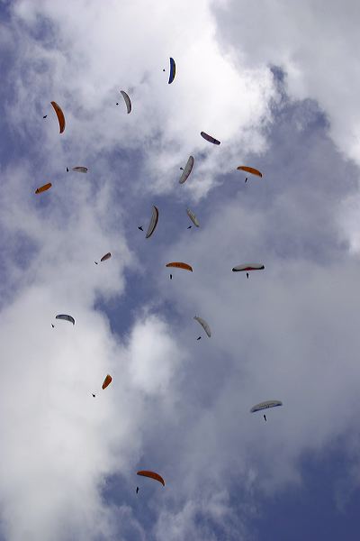 img_9056.jpg