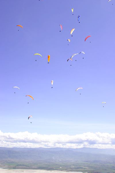 img_9100.jpg
