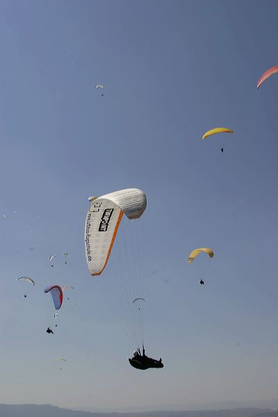 img_0075.jpg