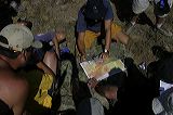 img_0017