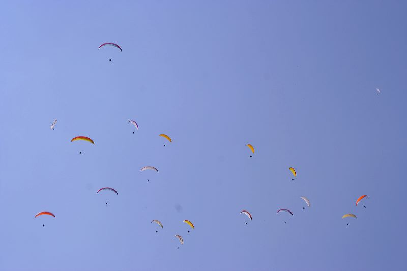 _mg_1085.jpg