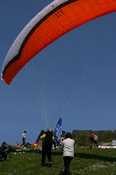 img_7232.jpg