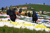 img_9003