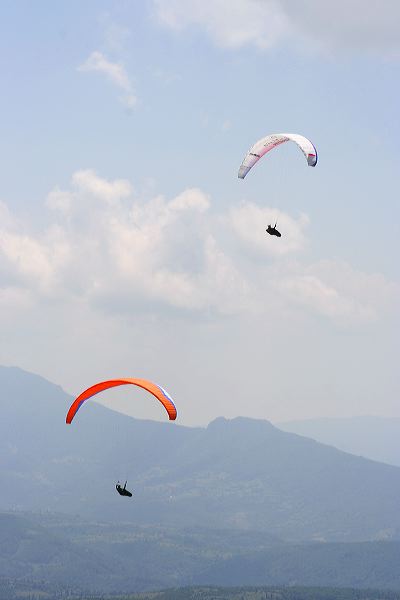 _mg_7887.jpg