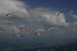 img_8761